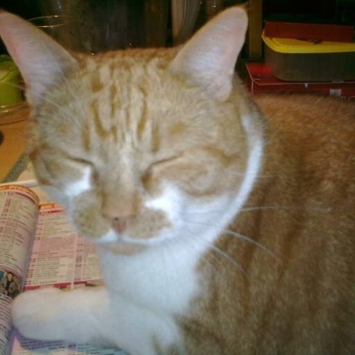 AaronKlops's profile picture. 