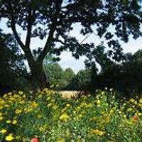 Daisy Farm Park (@daisyfarmpark) 's Twitter Profile