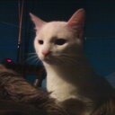 Keegan Phillips - @punkraper3 - Twitter