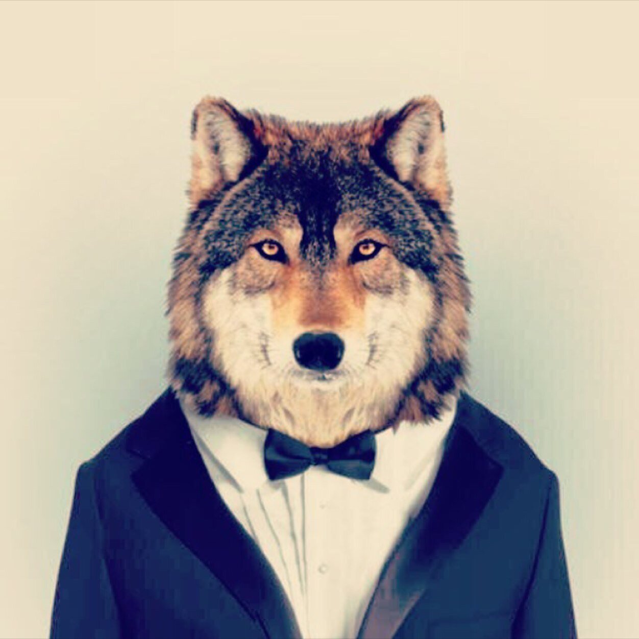 ProZiege's profile picture. Stay Humble, Jersey, F/A