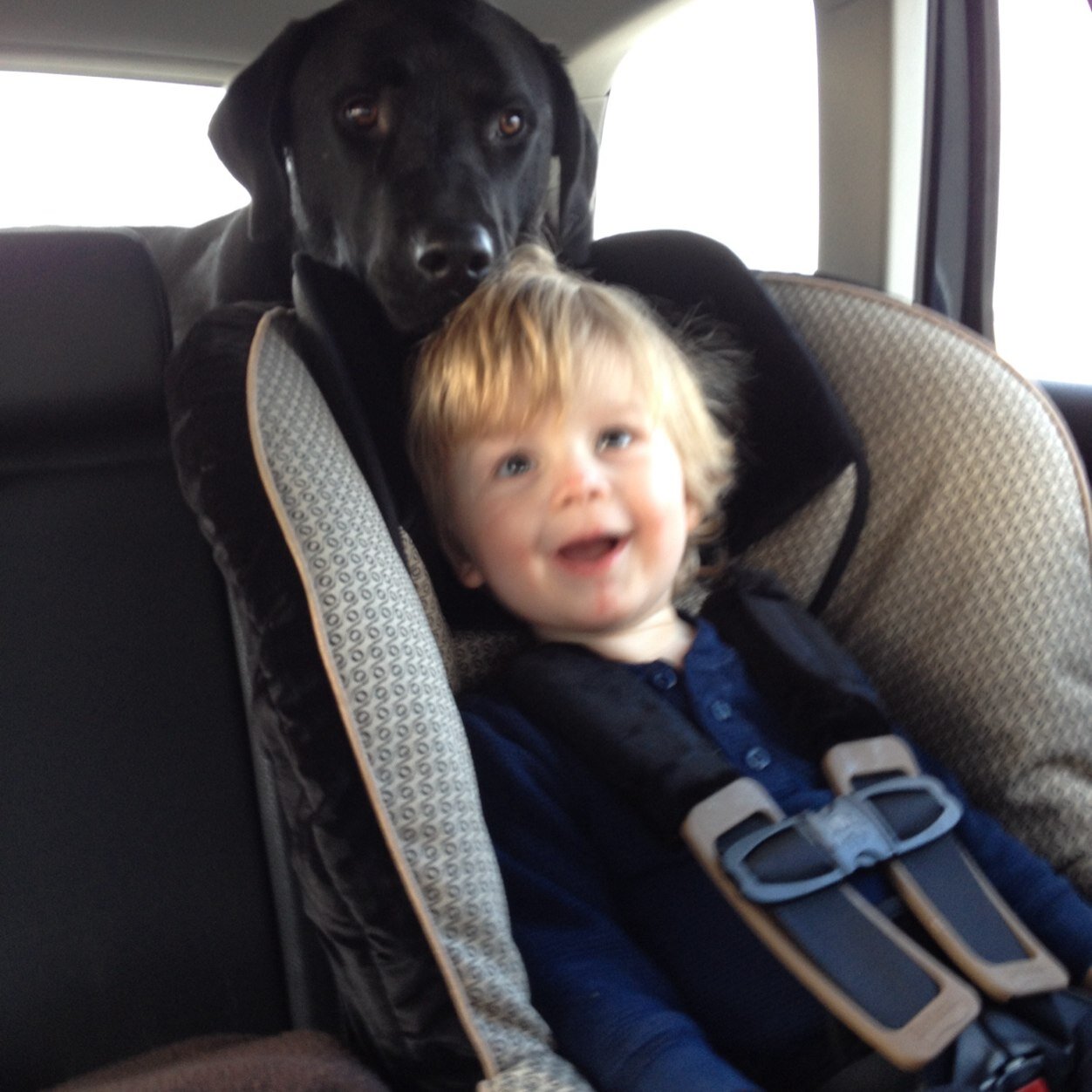 mkromm007's profile picture. Mother, sister, daughter, wife, and turkey doctor.