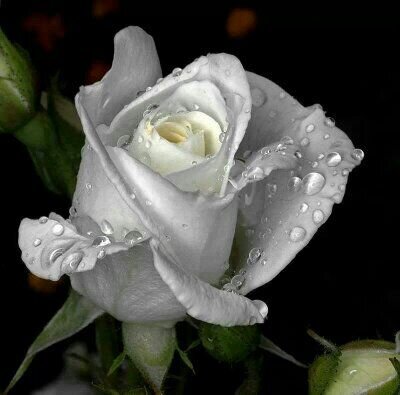 marildabreu's profile picture. 