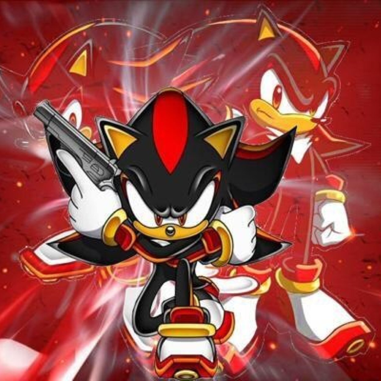 Haiii im shadow the hedgehog so dont judge me i hope we can be good friends #single and looking ;)