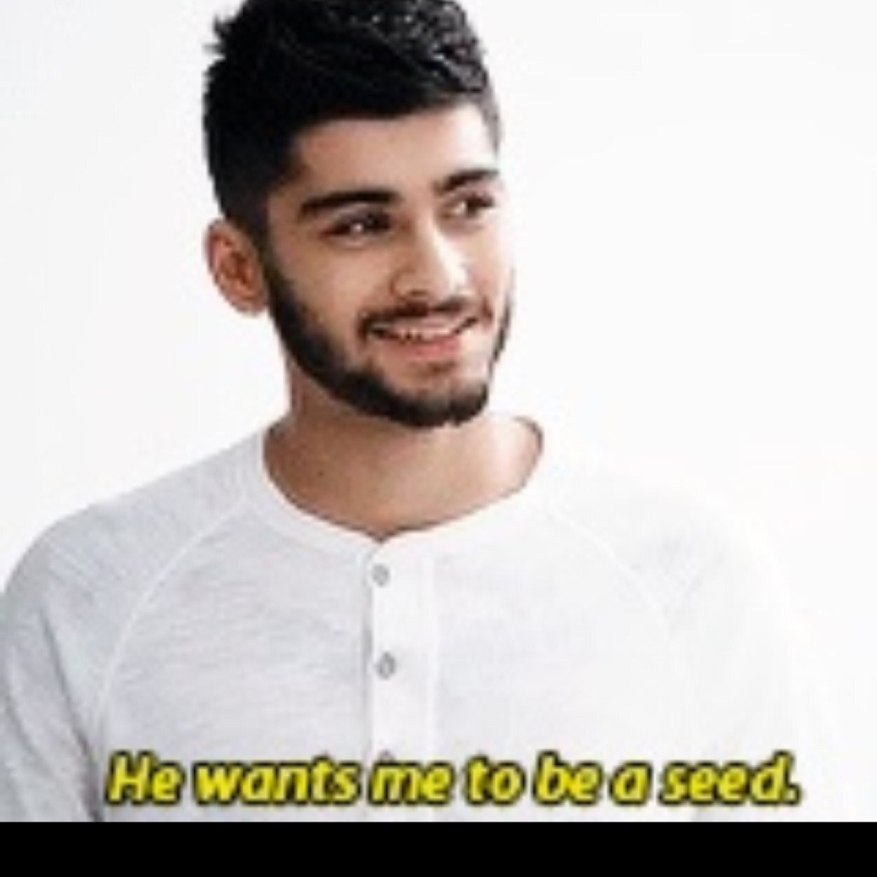 My life was born in bradford england. All i want is zayn and his face. Zouis shipper... HARD!