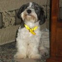 Sandra Baas - @sanytec - Twitter