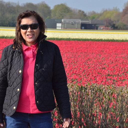 EvelynJose7's profile picture. retired