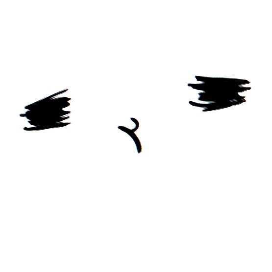 트위터 안함.