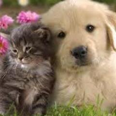 The recipe of friendship: 1 cup of sharing. 2 cups of caring. 3 cups of forgiveness & hugs. Mix all of these together to make friends 4ever.