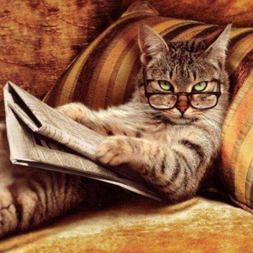 Hi!:)  I love #news, #rock music, #pets, #constructing, #IT. #AlwaysFollowBack