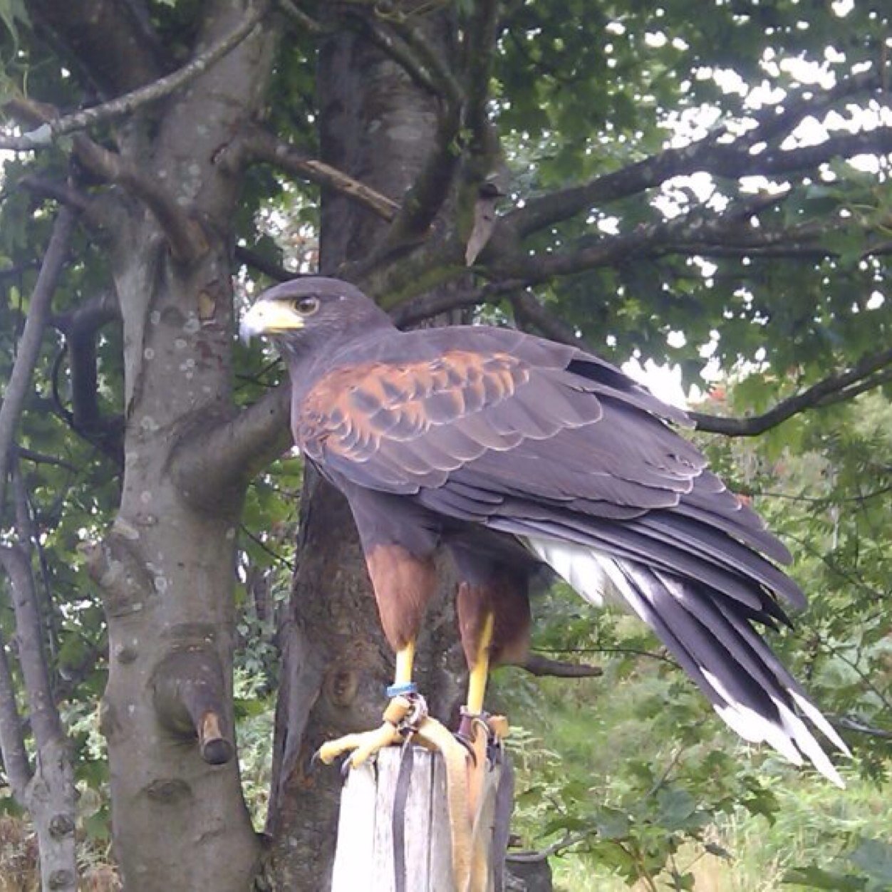 howy120's profile picture. 