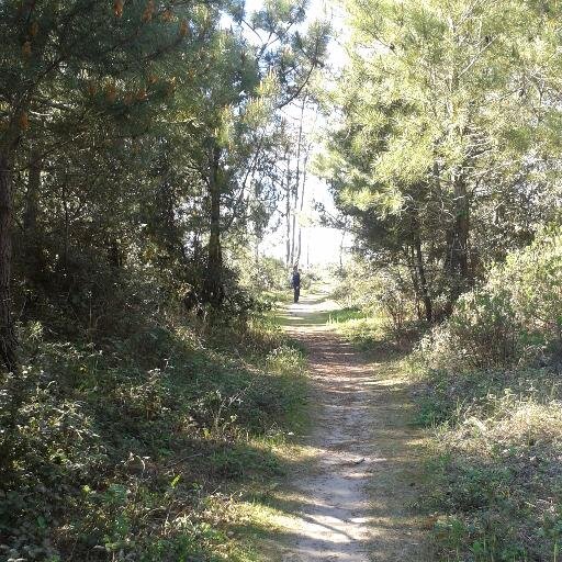 ClaudineColin5's profile picture. real life is out there...