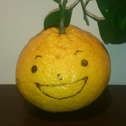 sz_stsw's profile picture. 所属する団体には関係なく、あくまで個人のつぶやきでーす。