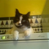 sandra cachia (@cachiasandra) Twitter profile photo