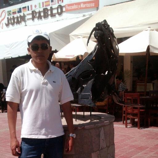 Ingeniero de Sistemas Especialista en Procesos