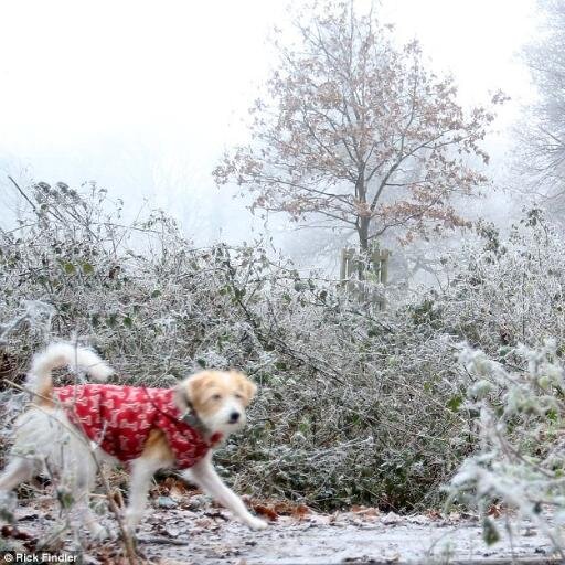 darcysbeau's profile picture. Survivor, Hungry for knowledge historian, aiming to enjoy what the world has to offer