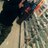 78S29's profile image