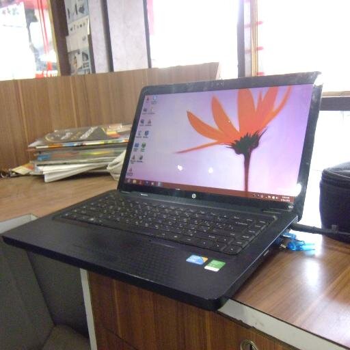 indifone's profile picture. 