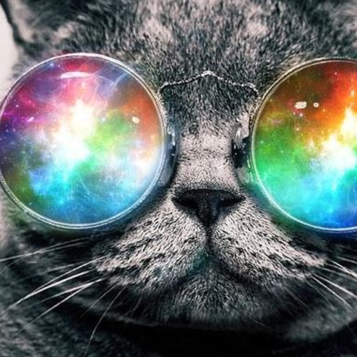 serhatakay's profile picture. 