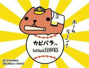 ソフトバンクホークスに所属する選手の雑学、特徴、記録などを2時間置きにつぶやきます。2019年版に更新しました。2014/04/27(日)~