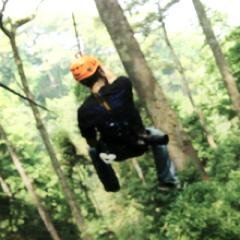 advparkvideo's profile picture. French Filmmakers specialized in Adventure Parks