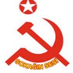 hayatgazide's profile picture. 