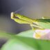 Zorak (@emilianomeseri) Twitter profile photo Zorak (@emilianomeseri) Twitter profile photo