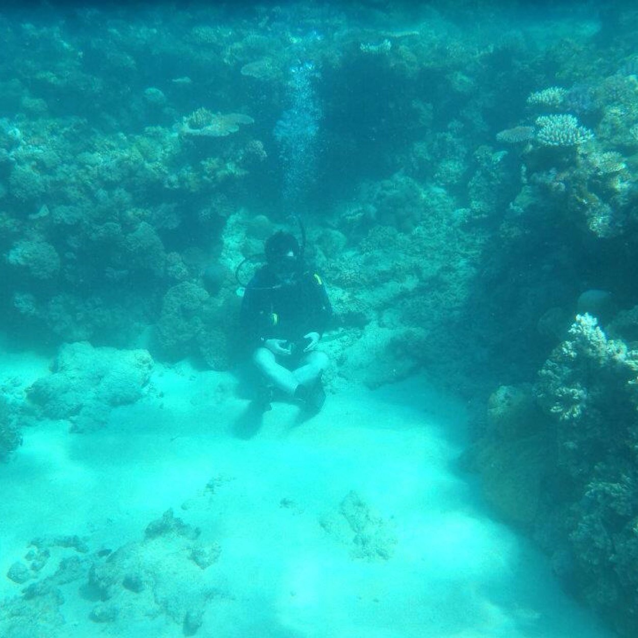 nshoji's profile picture. 🎨🍻🦹🎩🔥🍔🍕🎷🎭❤️ in 🗽🇺🇸