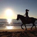 Susan Palm - @Dairymom5 - Twitter