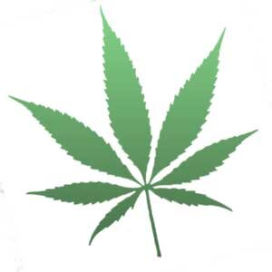 Marijuana Stocks news, reviews and updates! Follow us today
for the latest news and updates in the world of Marijuana Stocks!I'm not giving any financial advice