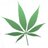 MMarijuanaStock's profile image