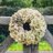 OneAcreGarden's profile image