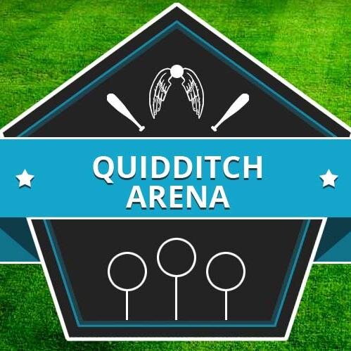 Quidditch videogame. Manage your team. Soon.