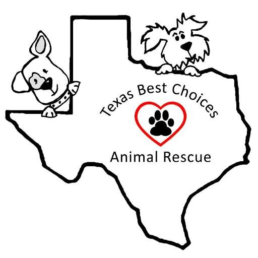 TBCAnimalRescue's profile picture. Texas Best Choices Animal Rescue is a non profit animal rescue just east of Dallas in Quinlan, TX. We have 22 acres devoted to housing rescued dogs and puppies.