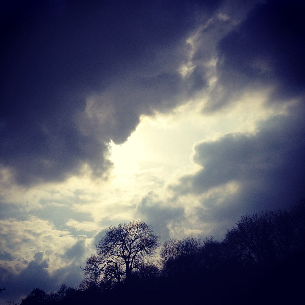 DudleydogVi's profile picture. 