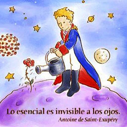 una mujer inteligente, es todo aquello que un hombre mediocre no quiere tener