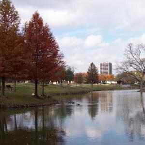 RichardsonEDC's profile picture. Bored? Look no further, Richardson!