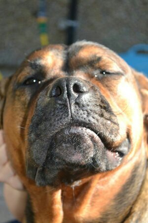 AdamDDrury's profile picture. 