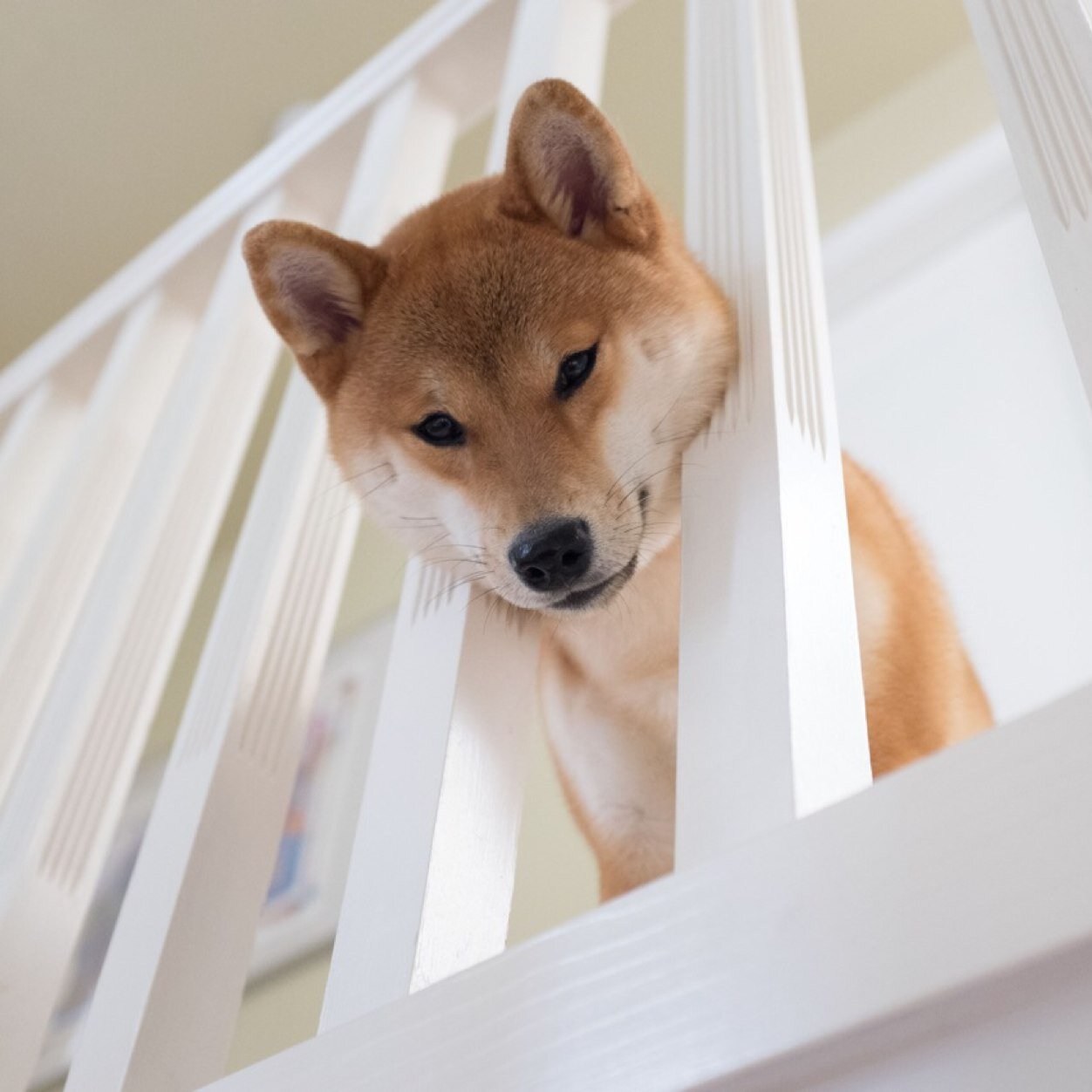 LynneDeCew's profile picture. Former marketing consultant, current runner, traveller, dog co-parent.