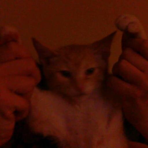 RebuildRefuel's profile picture. That one chick, doing that one thing, in that one place.