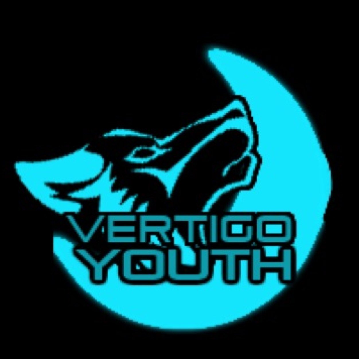 Vertigo_Youth's profile picture. Under Organisation of @Team_VertigoUK