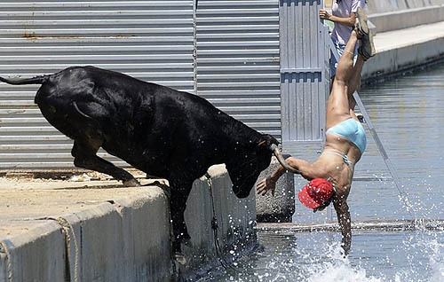 BWizzle44's profile picture. ...in the midst of an excellent adventure!