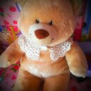 Paula Bray - @PaulaEBray - Twitter