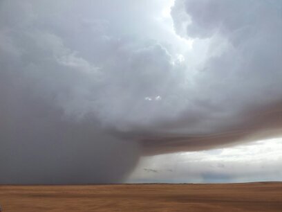 F_A_lwdani's profile picture. يا مَنْ لبرقٍ أبيتُ الليلَ أرقُبُهُ - في عارضٍ كمضيئ الصبحِ لمّاحِ.                                                      (مهتم بطقس الوادي وبراريه)