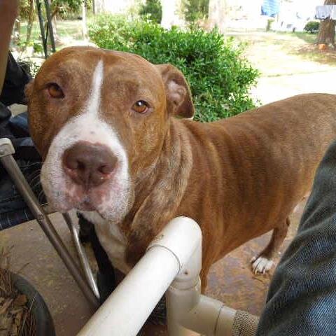 TrimmerAssist's profile picture. ISO-20022, Be in, or be left behind. All the rest is noise.