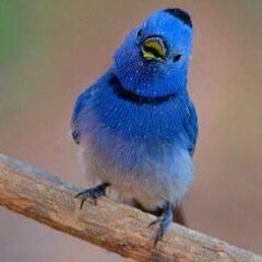 GeeRaiC's profile picture. Life is like a camera ....
FOCUS on whats important
CAPTURE the good times
DEVELOP from the negatives,
And if things don't work out 
TAKE ANOTHR SHOT :)