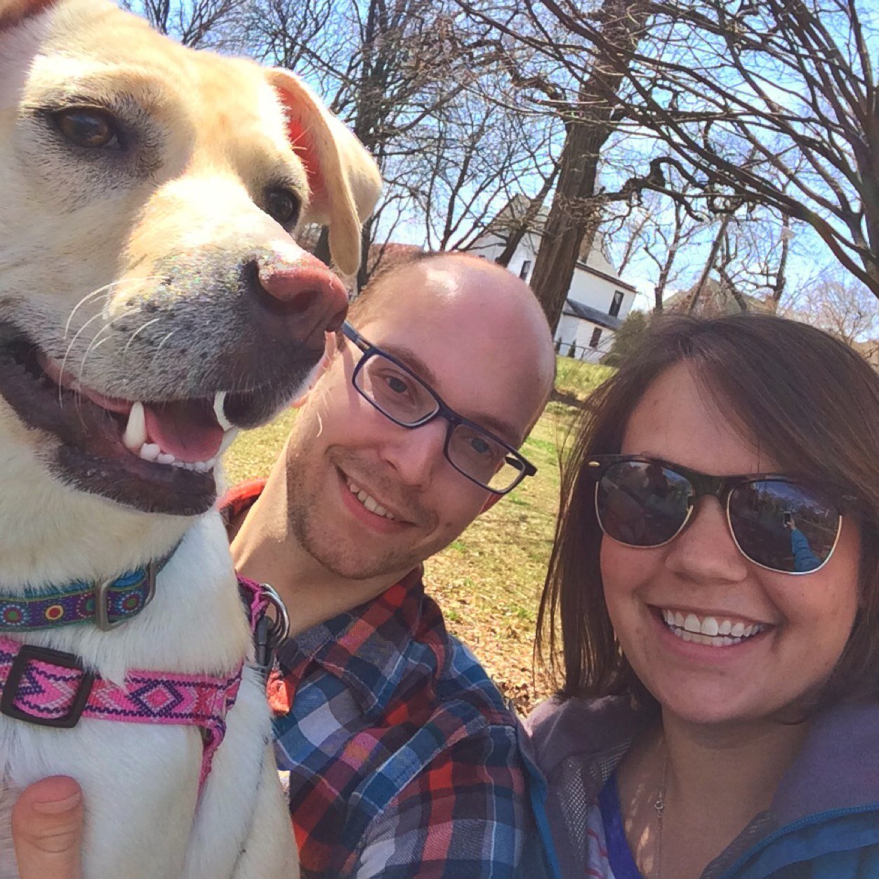 lindzweb's profile picture. graphic designer, lover of plaid, vector art, & bright colors