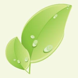 Paraiso_Belleza's profile picture. Tienda Online de Cosmética Natural, en la que podrás encontrar una cuidada selección de productos cosméticos para cuidar y mimar tu piel de forma natural.