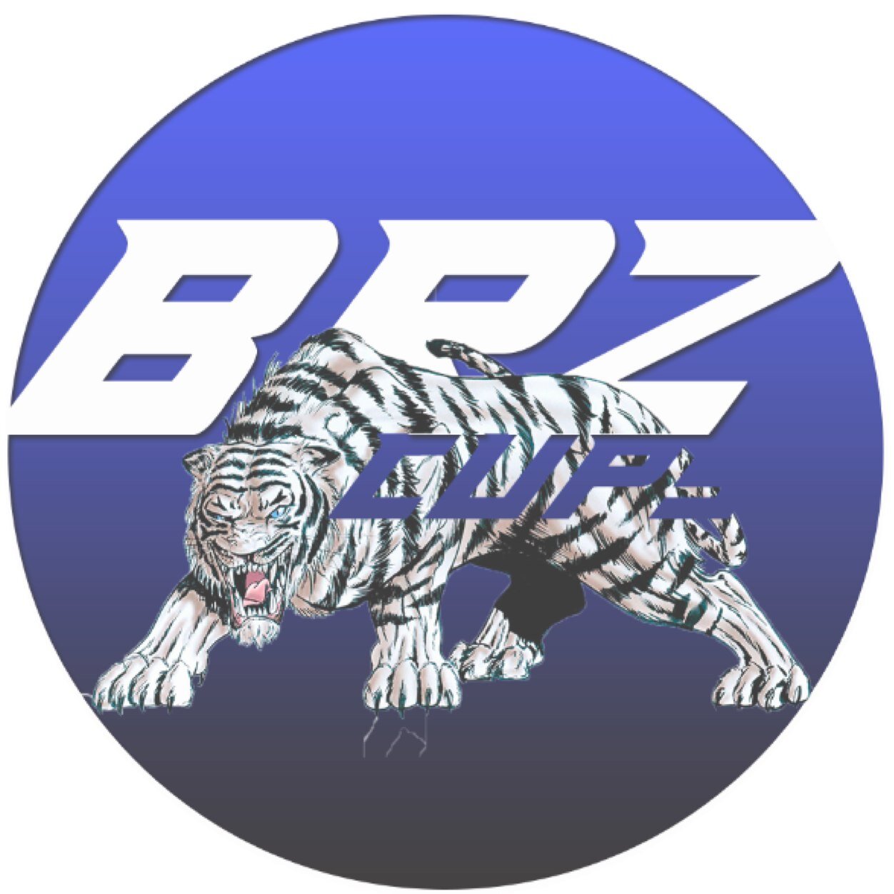 Somos uma organizacao de Cup4Fun!// Em busca de Parceiros // Skype: BrazilianCups //