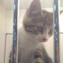 nova wang - @wxtom - Twitter