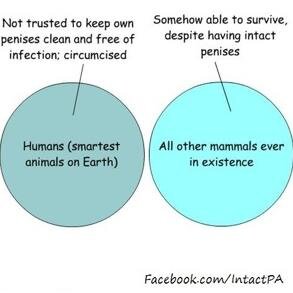 leanne_cruz's profile picture. daughter, grand-daughter, sister, cousin,, mother and wife.